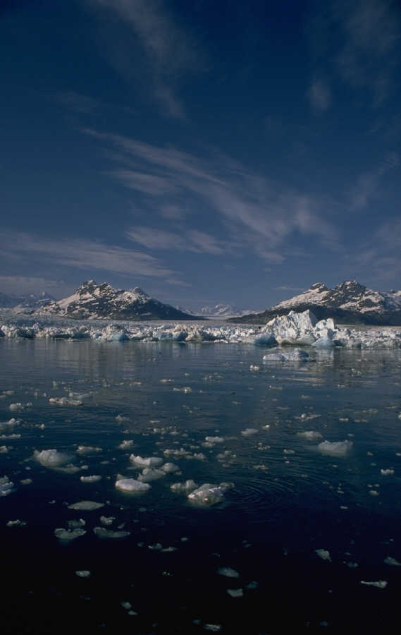 P0100441.JPG