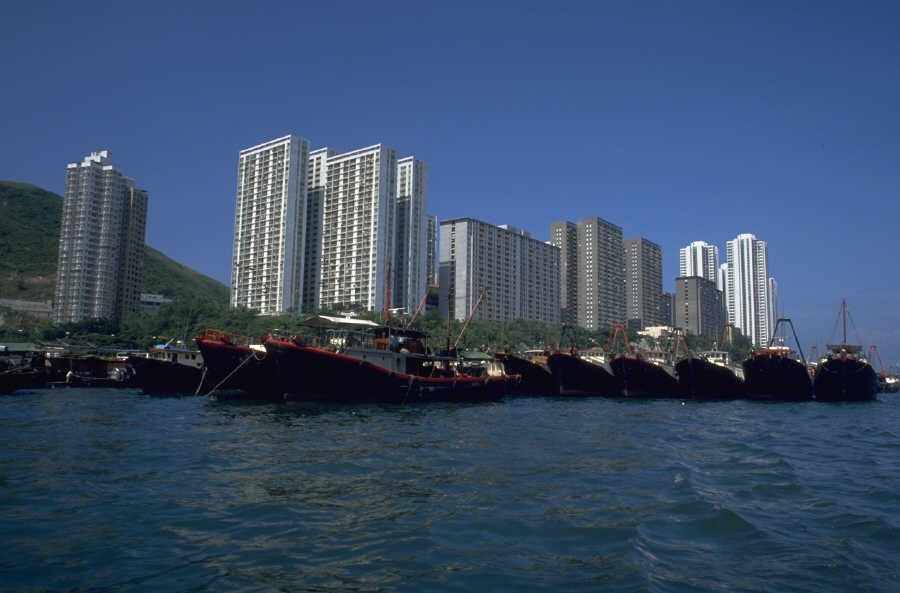 P0100445.JPG