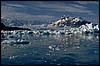 P0100442.JPG
