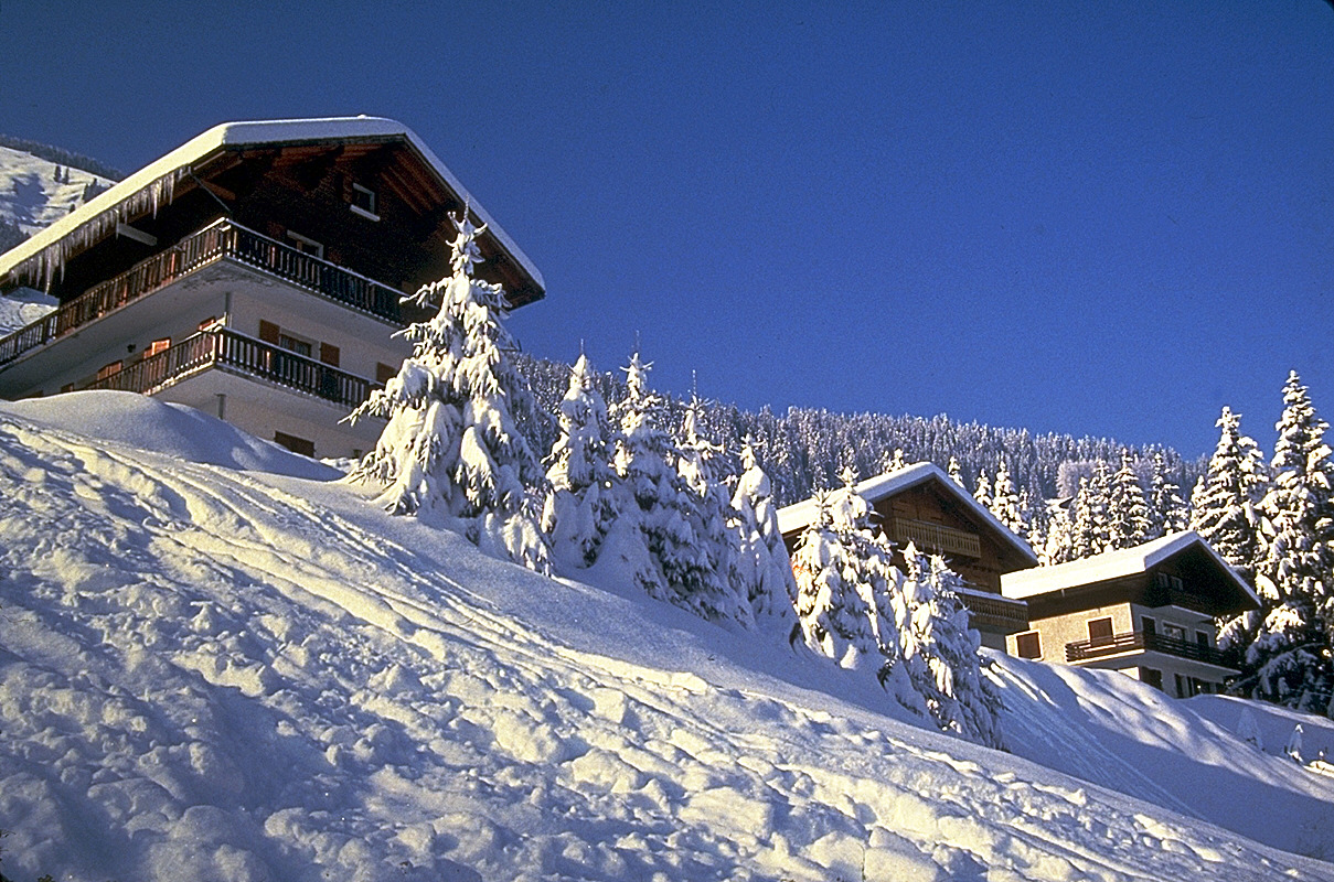 img0205.jpg