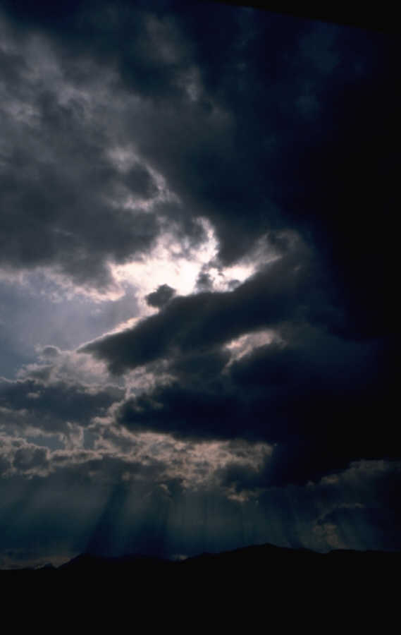 P0100348.JPG