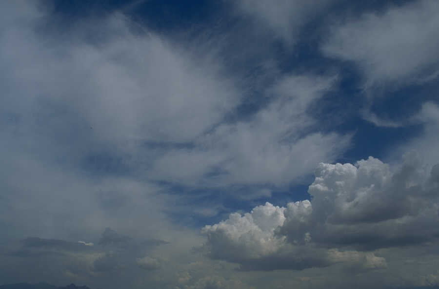 P0100353.JPG