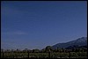 P0106591.JPG