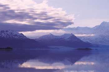 352059.JPG