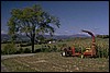 P0104480.JPG
