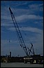 P0104483.JPG