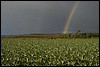 P0106695.JPG