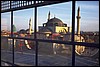 P0108837.JPG