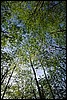 000801_0341_0010_tsls.jpg