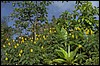 P0104730.JPG