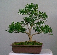 586.jpg