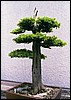 upright5b.jpg