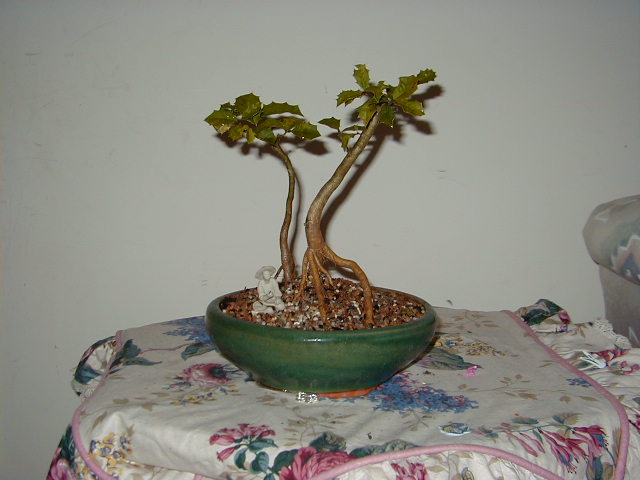 171.jpg
