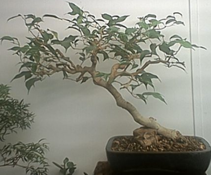 537.jpg