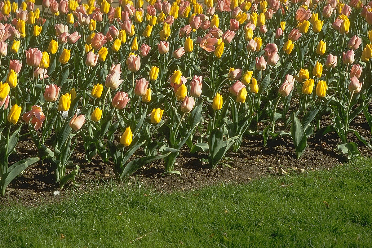 img0014.jpg