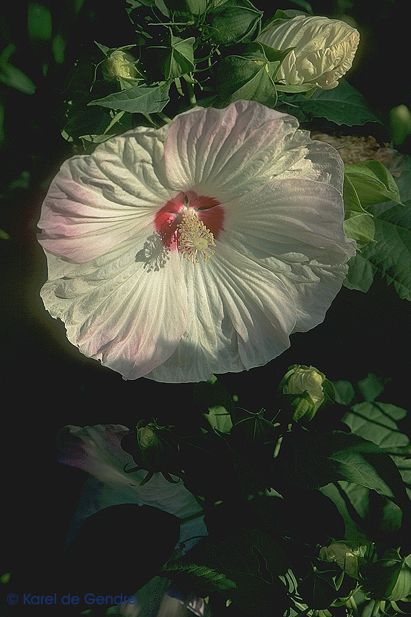 img0044.jpg