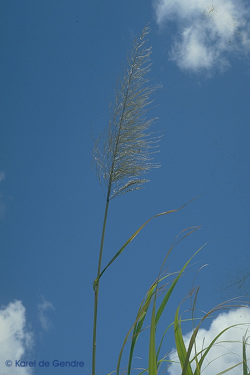 img0045.jpg