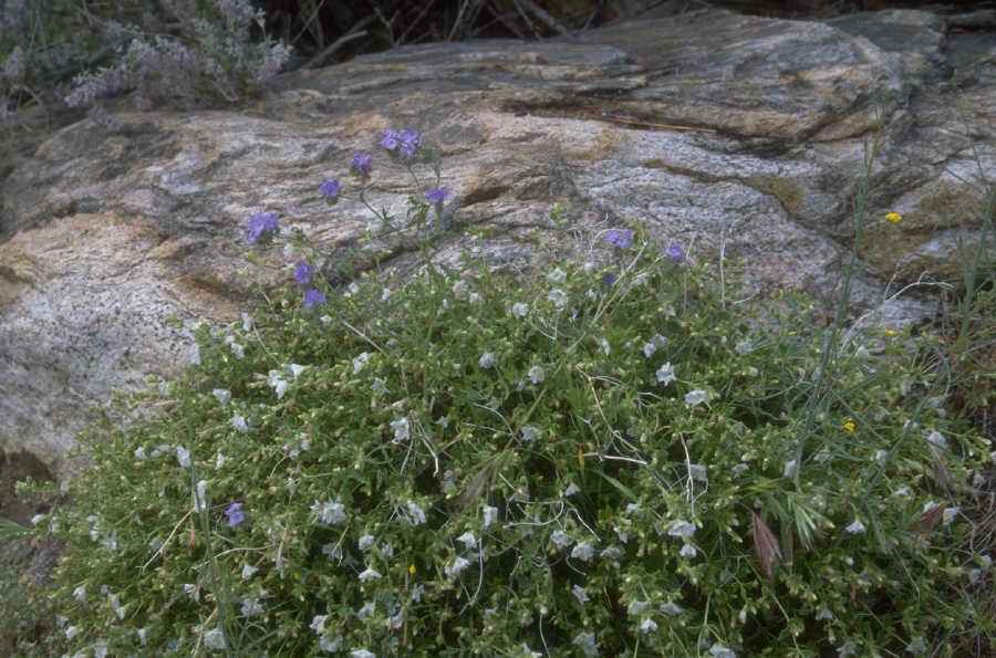 P0107677.JPG