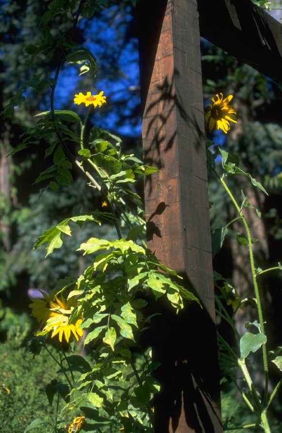 P0107685.JPG