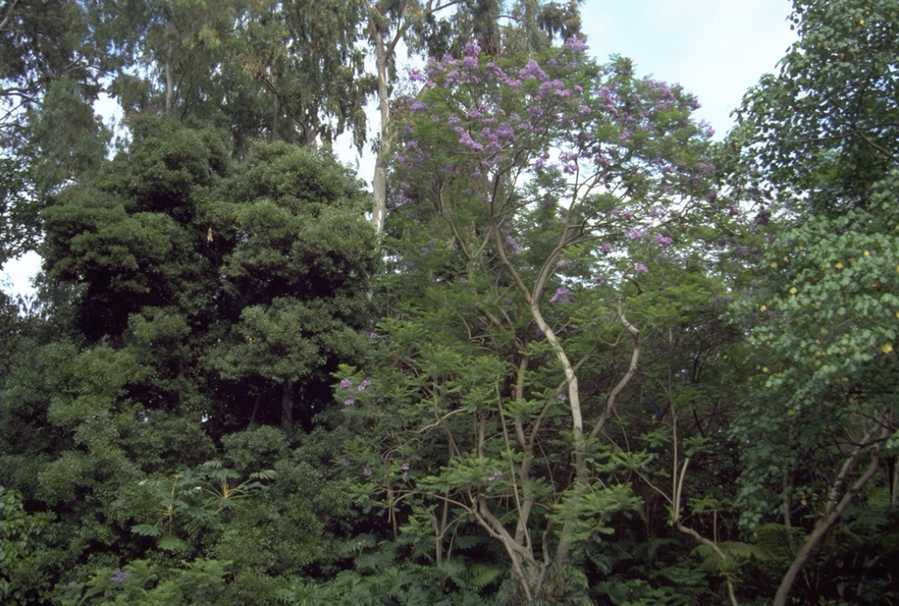 P0104777.JPG