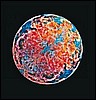 028248.JPG