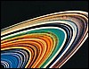 028261.JPG