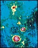 028522.JPG