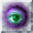 ic-172.gif