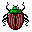 p.gif